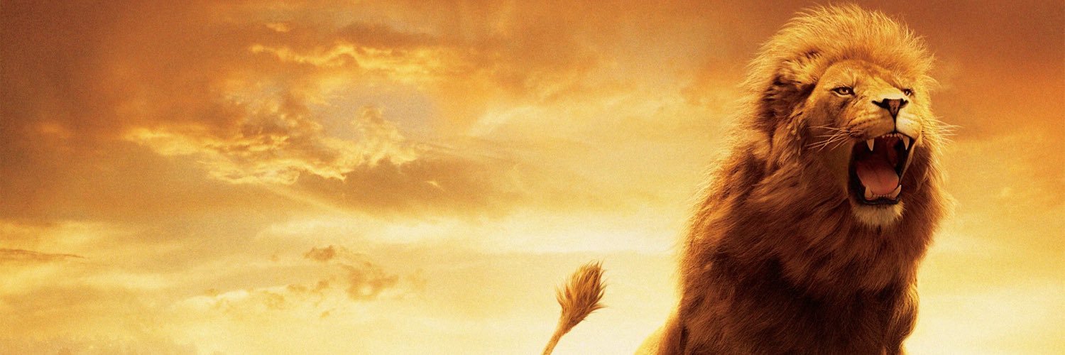wlyons21's profile banner image