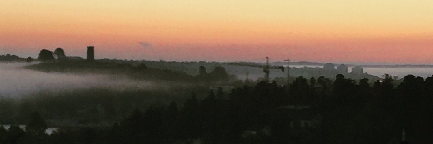 Emma Johansson banner