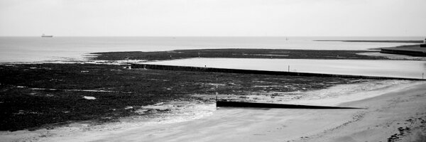 a_r_c_a Profile Banner