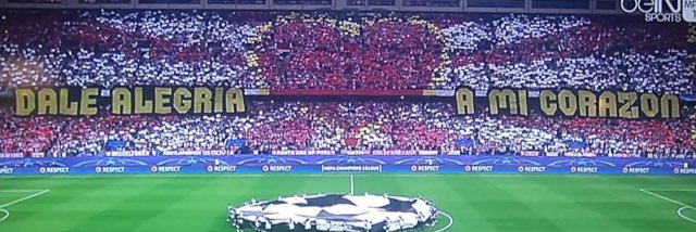 Cisiogol🍇🍉 banner