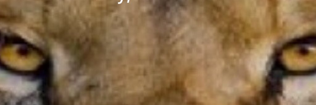 kingkush1's profile banner image