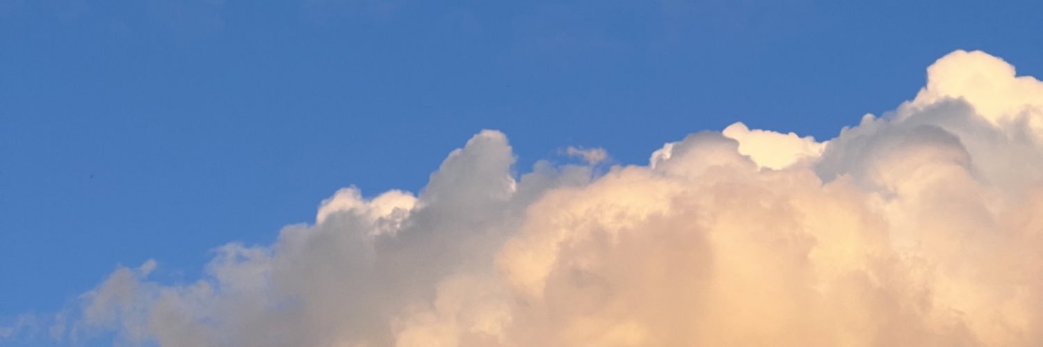 _rukhti's profile banner image