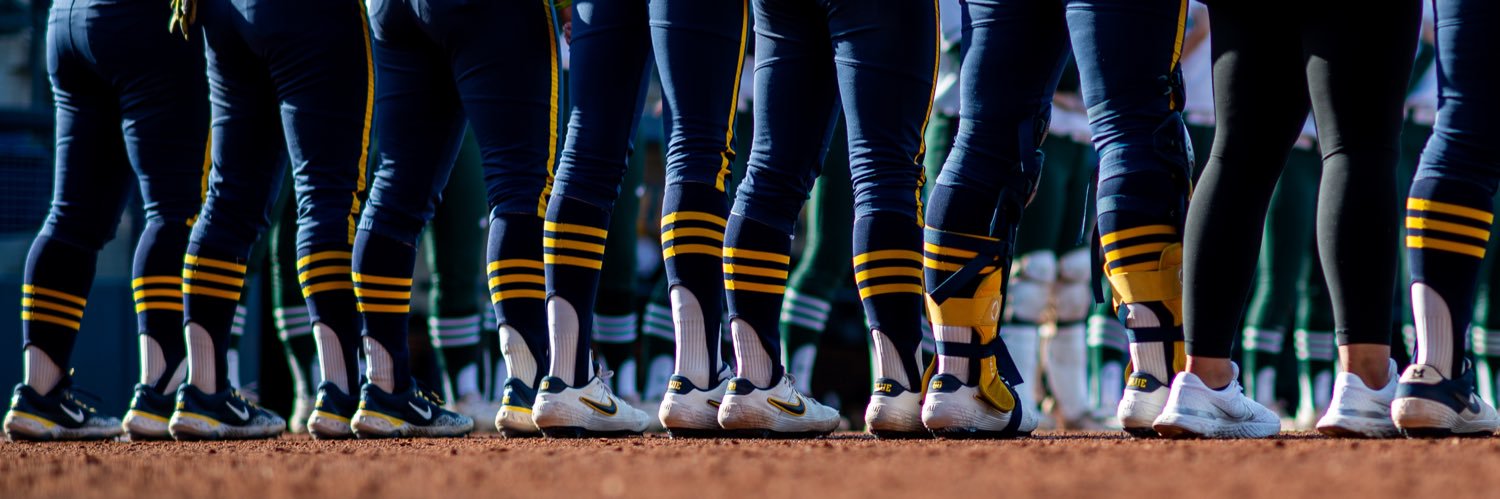 Michigan Softball's banner