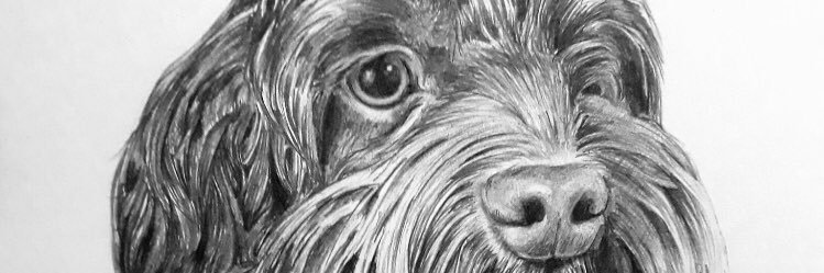 mdecae's profile banner image