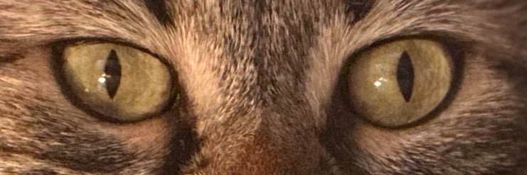 aaemel's profile banner image