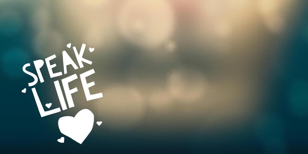 bettinascameron's profile banner image