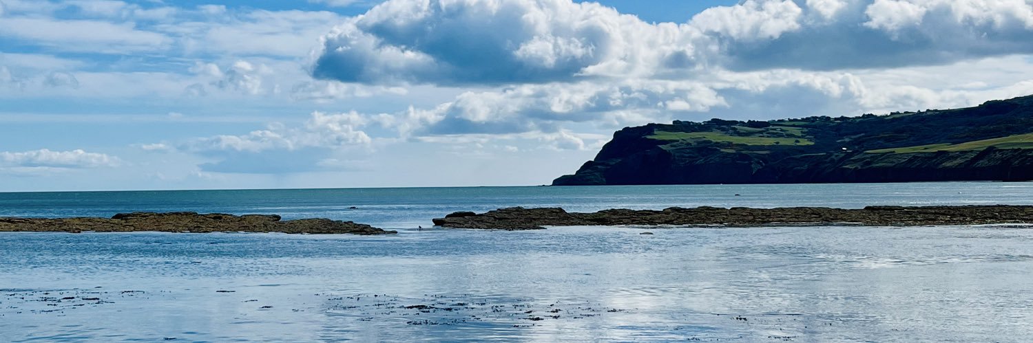 SusieWof's profile banner image