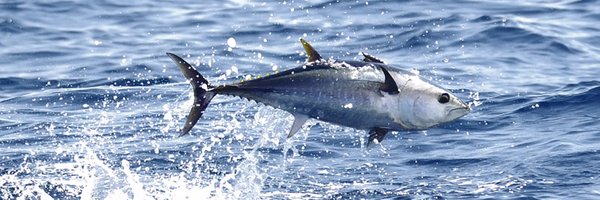 proangler Profile Banner