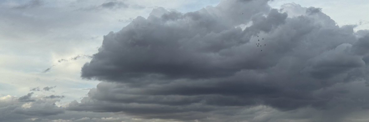 CallMeMsVee's profile banner image