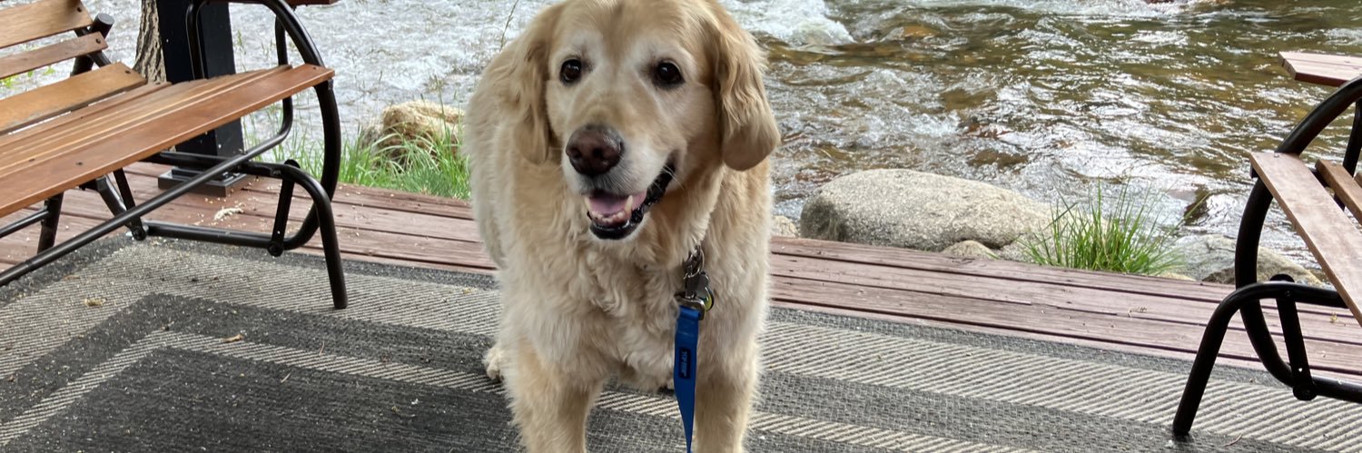 Alan J Plambeck banner