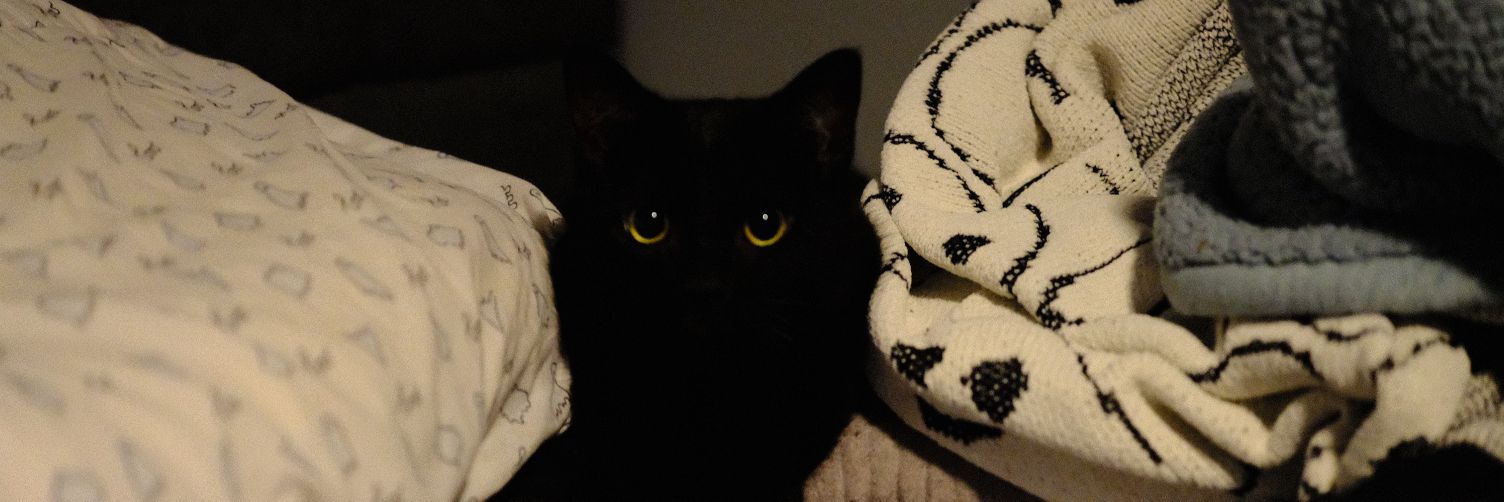 tylermfrye's profile banner image