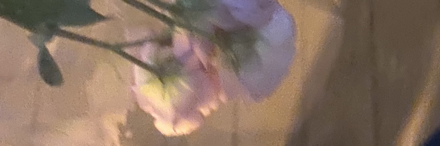sw_____88's profile banner image