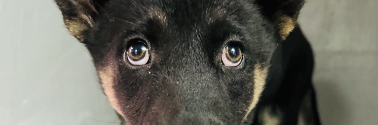 BaxterChristine's profile banner image