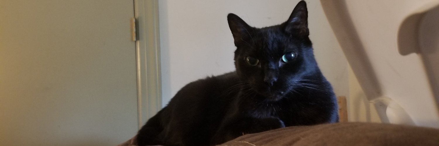JoeFlynnComic's profile banner image