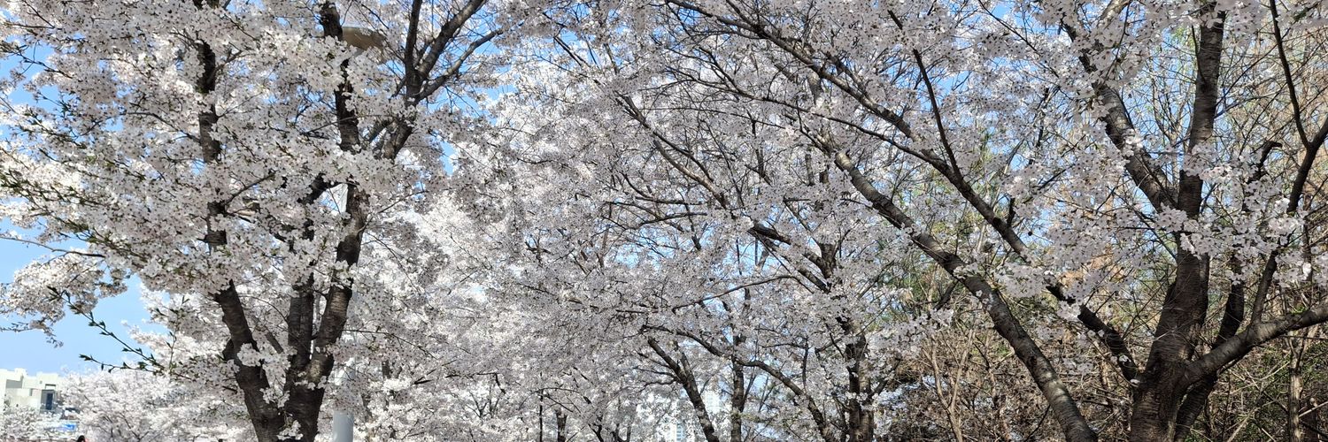 배경미🇰🇷 banner