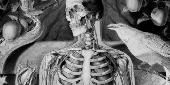 kalavera666's profile banner image
