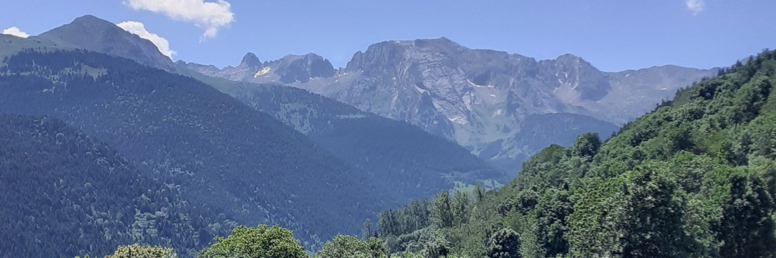 moolgar's profile banner image