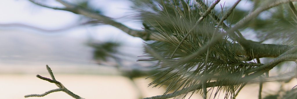 ali_nahle's profile banner image