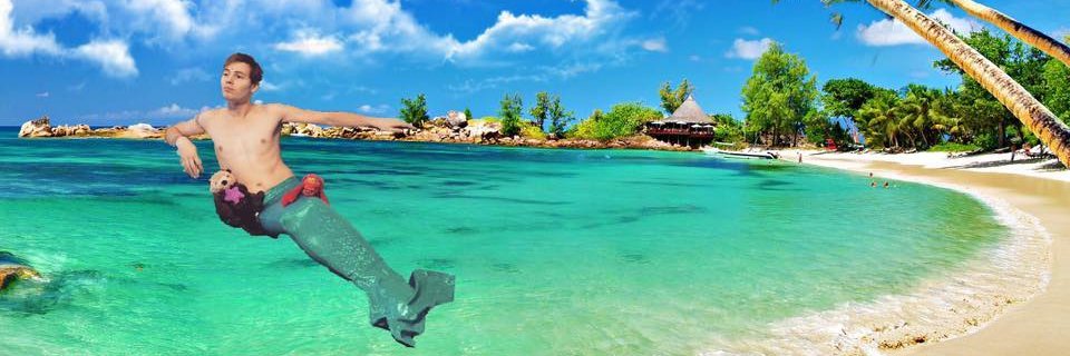 Riley Phoenix banner