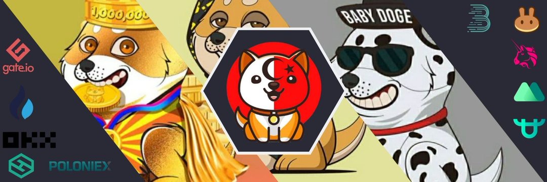 BabyDogeCoin07's profile banner image