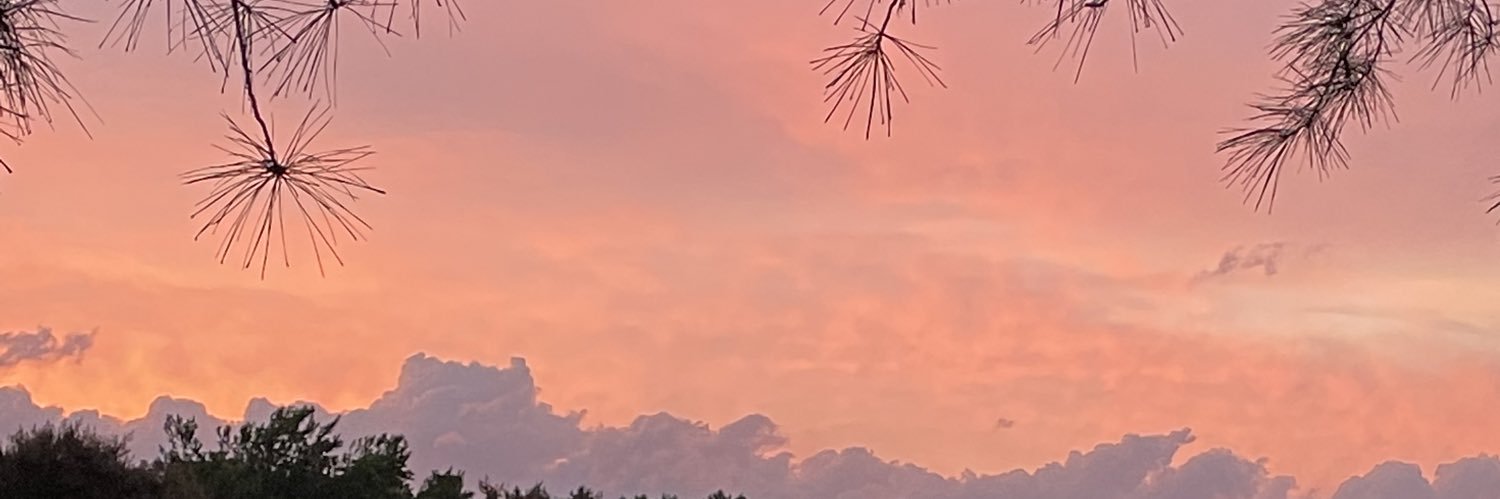 erikfrank_'s profile banner image