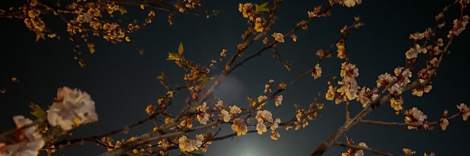 𝙽𝚘𝚘𝚛𝚊 banner