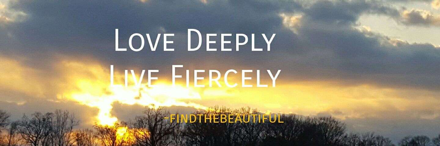 fndthebeautiful's profile banner image