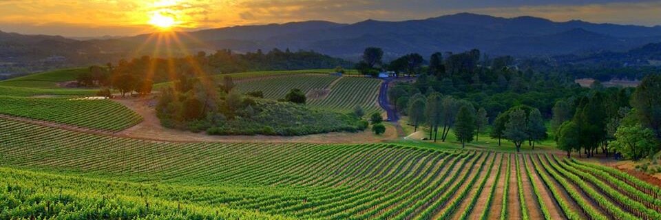 WINE banner