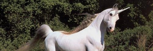 Robyne Balanuik banner