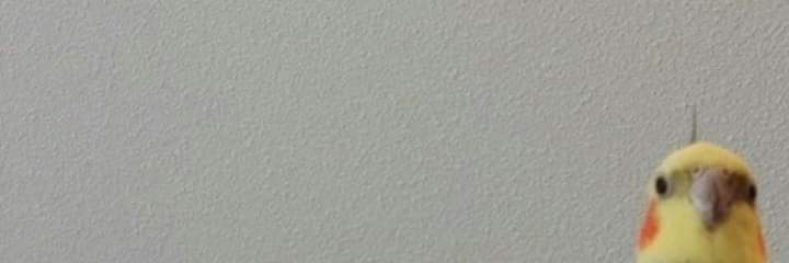 ivansouza79's profile banner image
