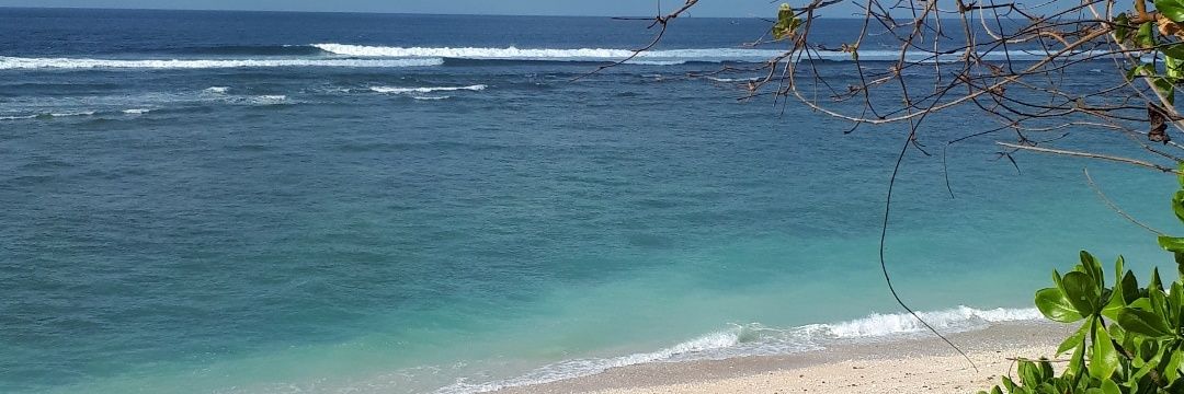 🐥🐥🐥🐣🐣🐣🐣 banner