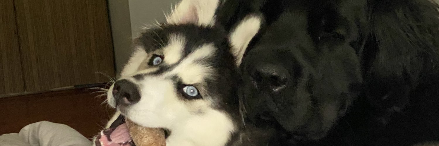 Harleydave67's profile banner image