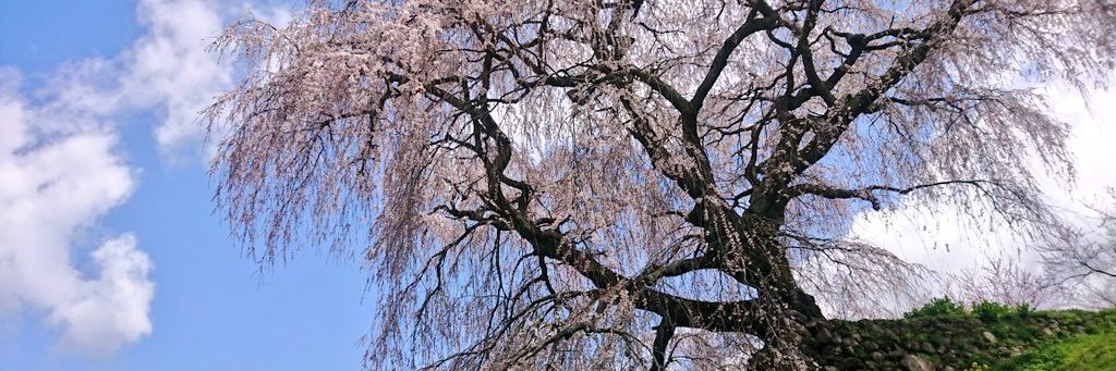 KawanatsuK's profile banner image