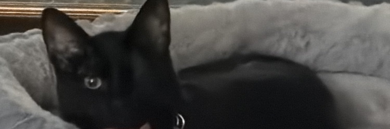 Kyle / Red Sanza banner