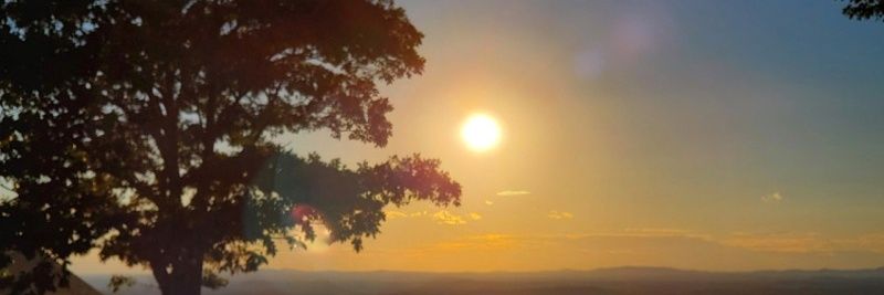 Dr Bob 🌻 banner