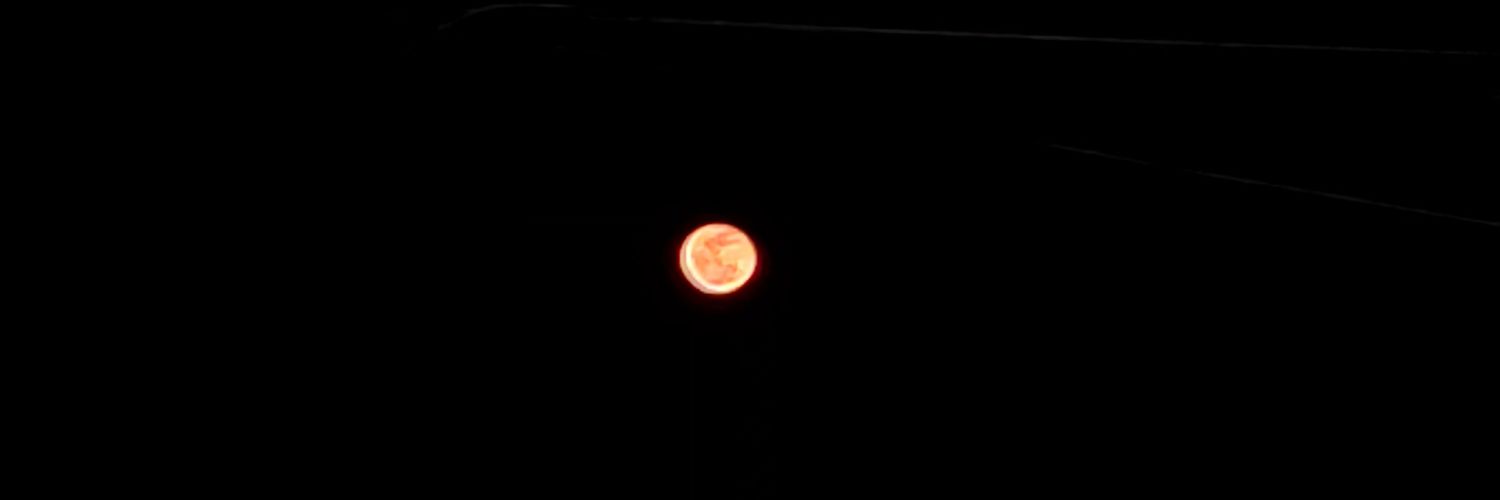 ann🌙 banner
