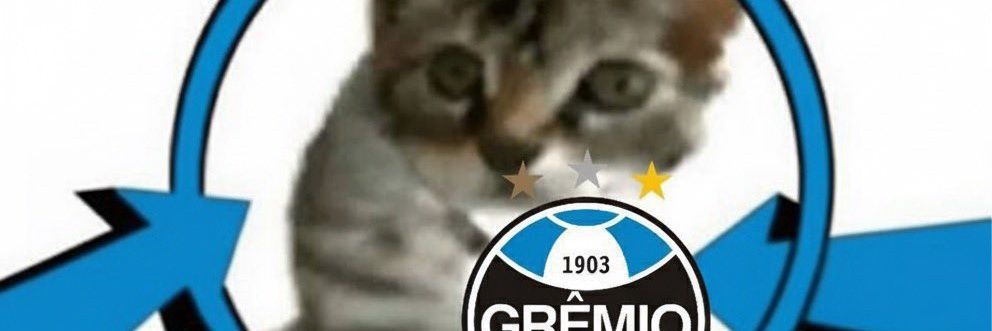 cerveja polar banner