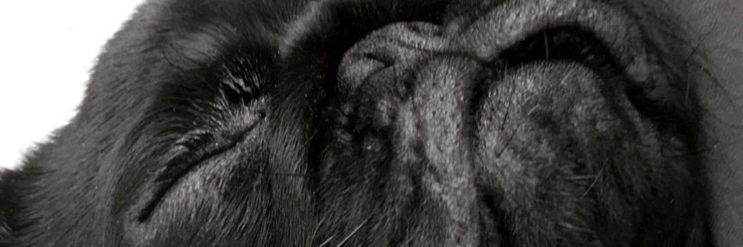 bilgessayin's profile banner image