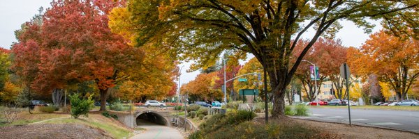 sacstate Profile Banner