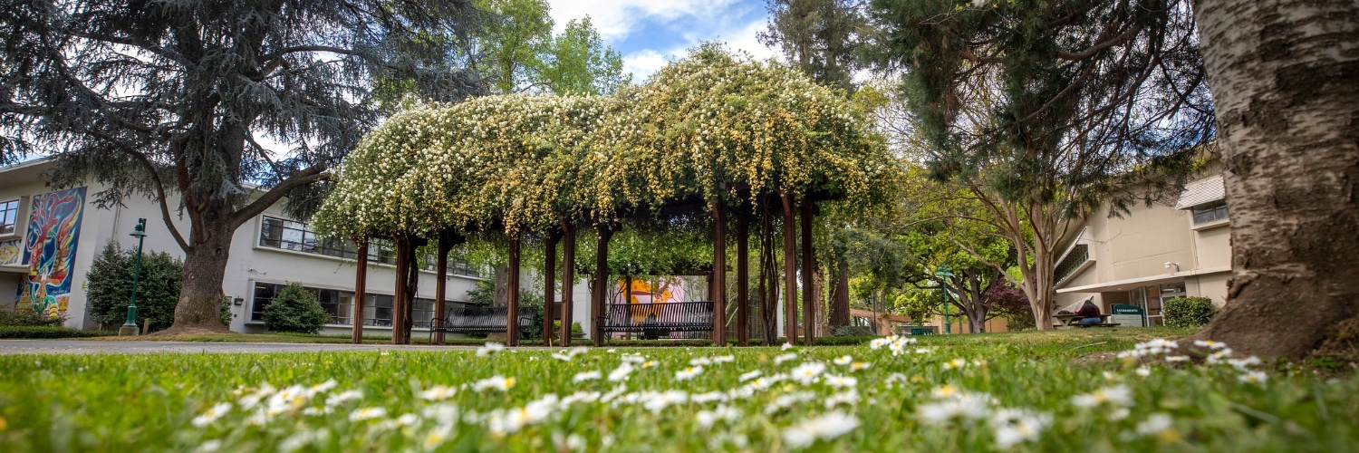 Sacramento State banner