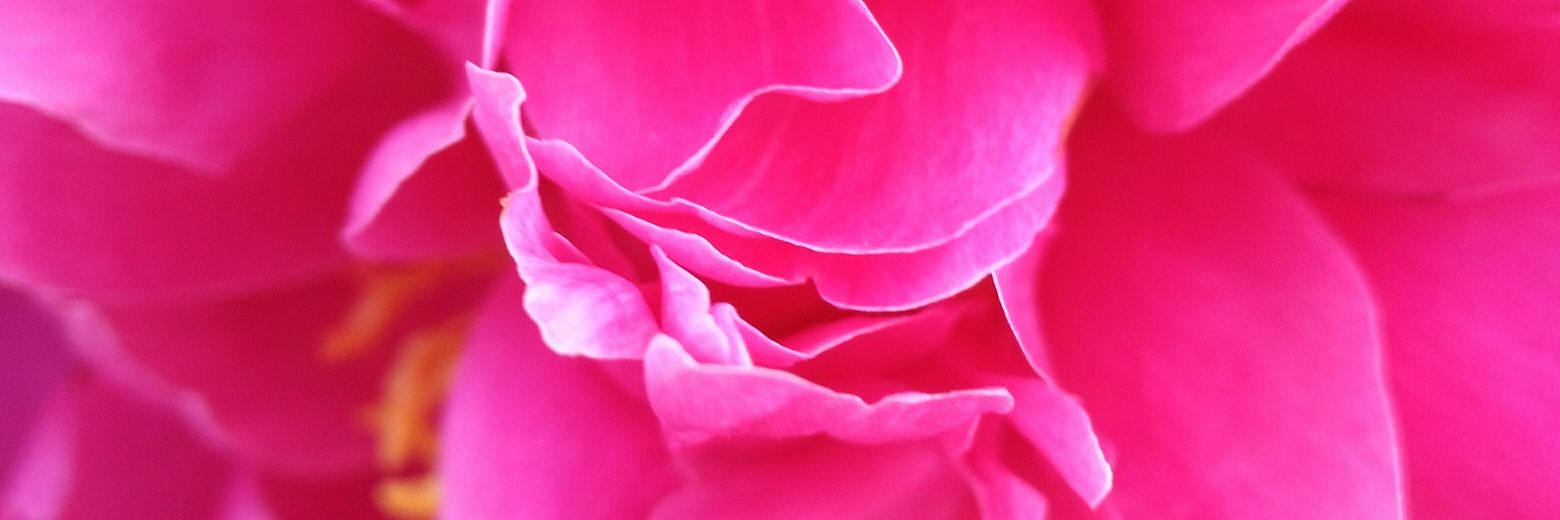 beautifulgalles's profile banner image