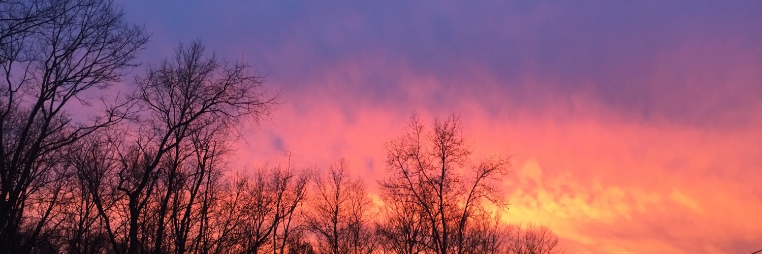 hannahsteeley's profile banner image
