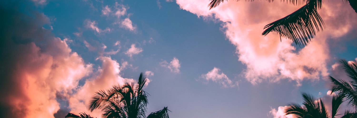 wannakeeree's profile banner image