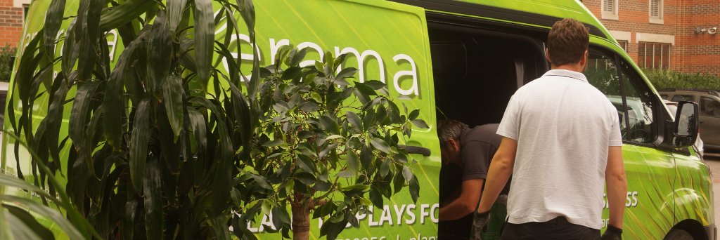 Planterama Design banner