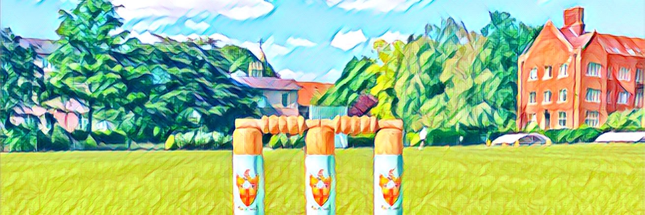 LeysCricket's profile banner image