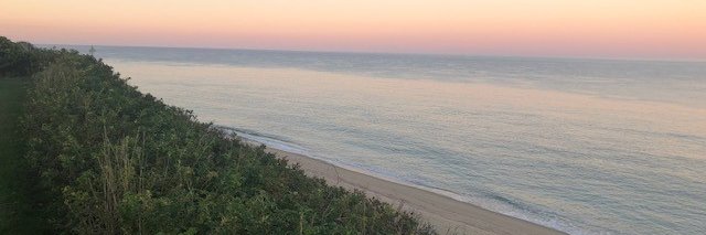 Trisa Thompson banner