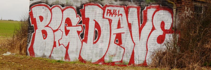 David Roberts banner