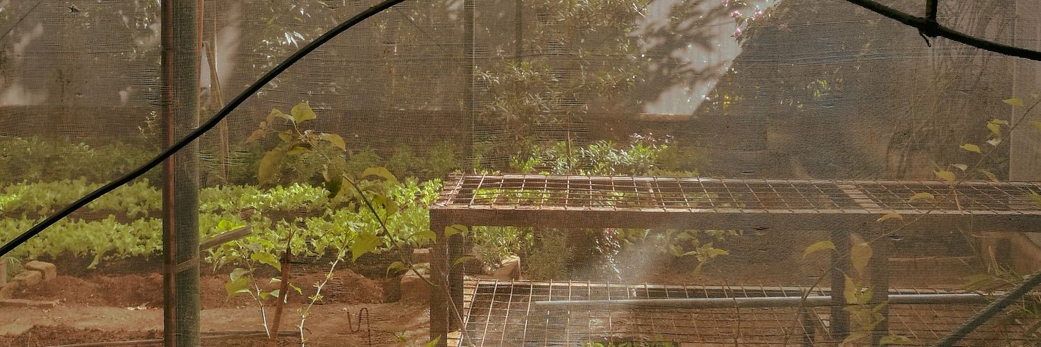 cortits's profile banner image