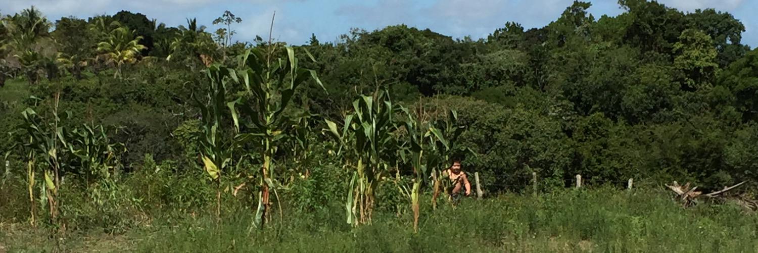 Gleidianodoaco's profile banner image