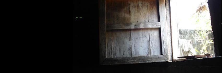 van- 𝕏 banner